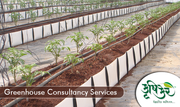 Krushicare GreenHouse Consultancy Services GUJARAT, India Krushicare GreenHouse Consultancy Services GUJARAT, India